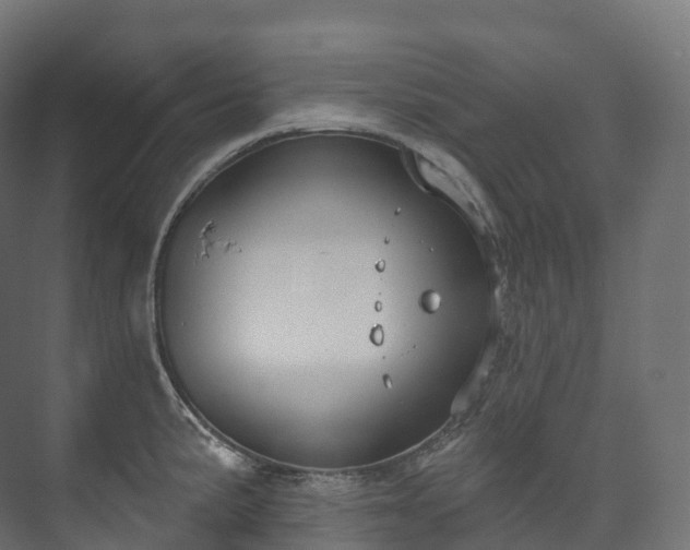 X0000073481191200608071013