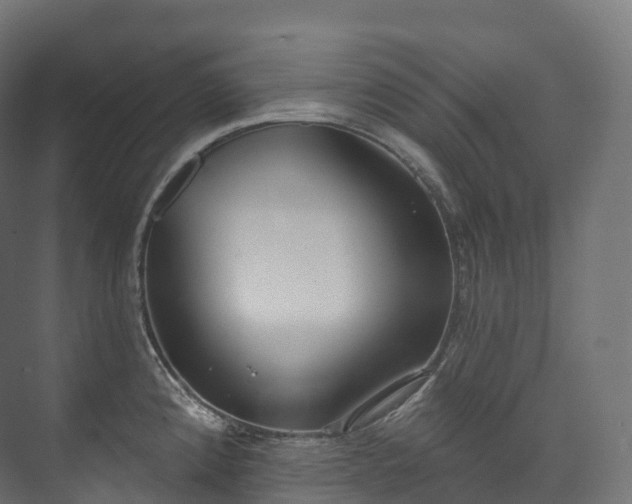 X0000073481192200608071013