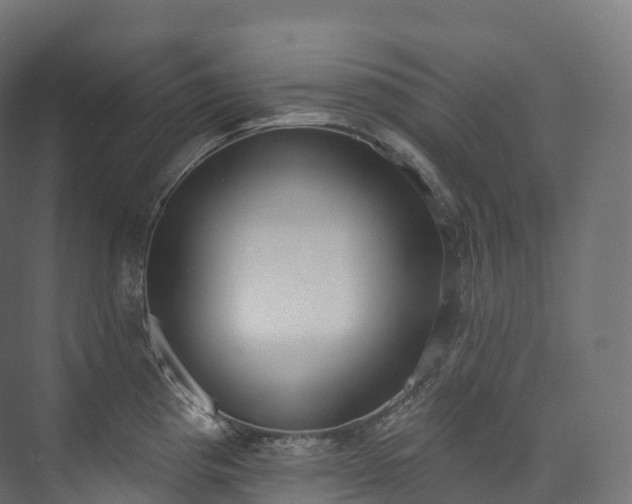 X0000073481193200608071013