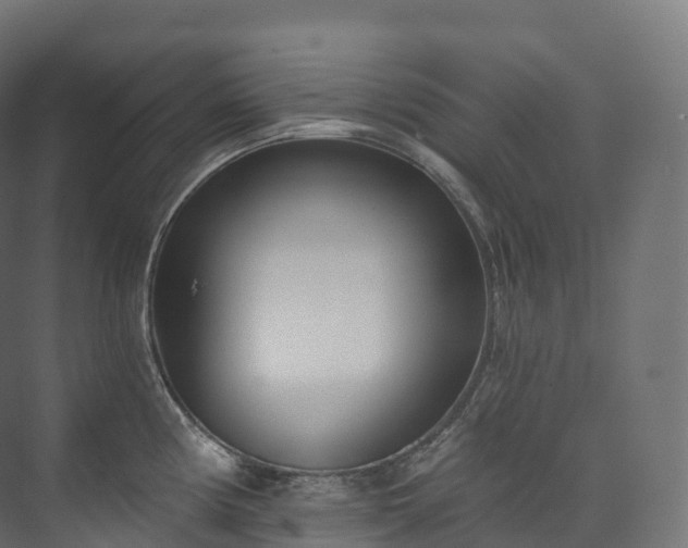 X0000073481194200608071013