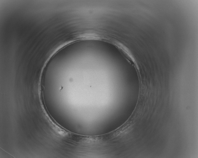 X0000073481195200608071013