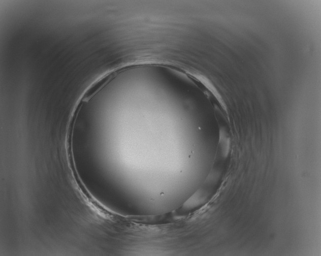 X0000073481197200608071013