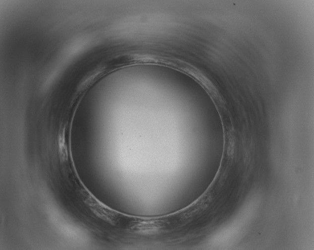 X0000073481198200608071013