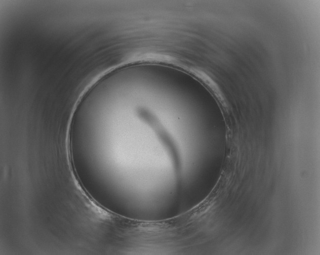 X0000073481199200608071012