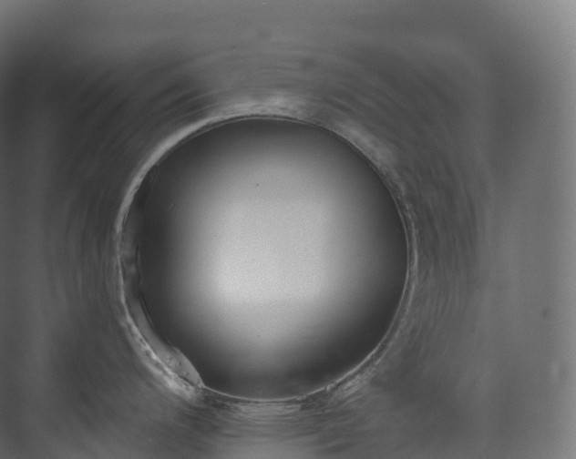 X0000073481200200608071012