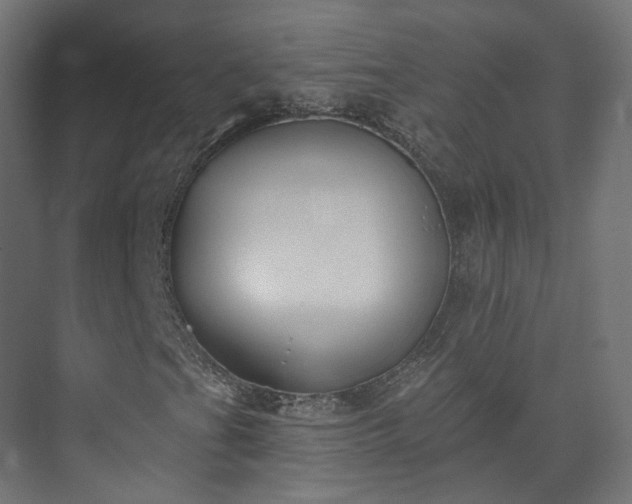 X0000073481201200608071012