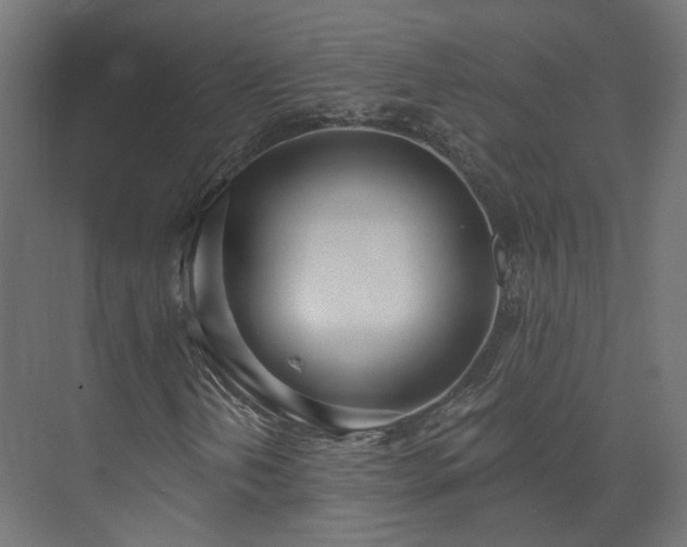 X0000073481202200608071012