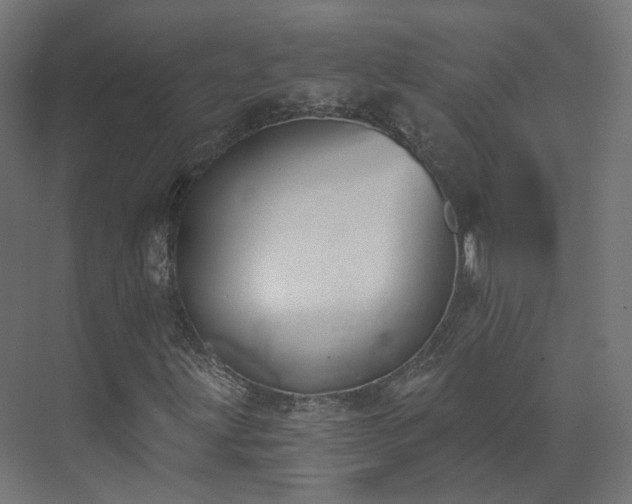 X0000073481203200608071012