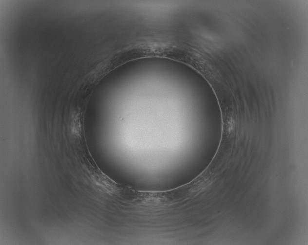 X0000073481204200608071012