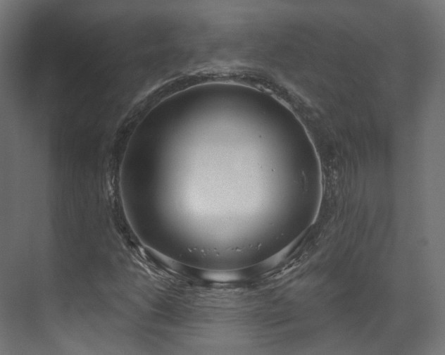 X0000073481206200608071012