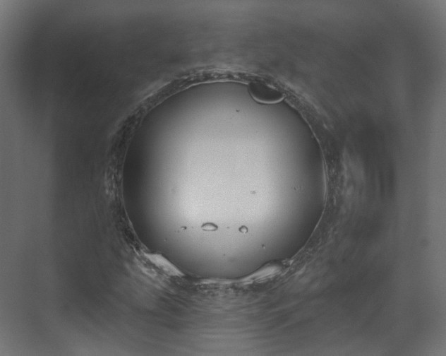 X0000073481207200608071012