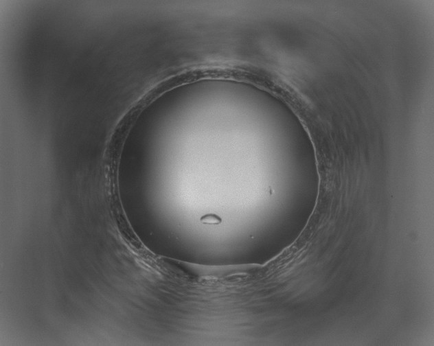 X0000073481208200608071012