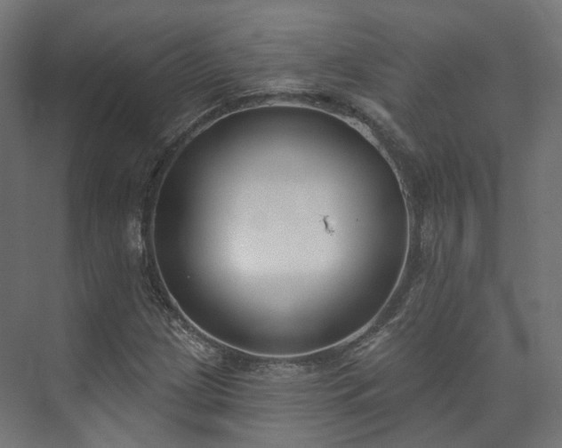 X0000073481209200608071012