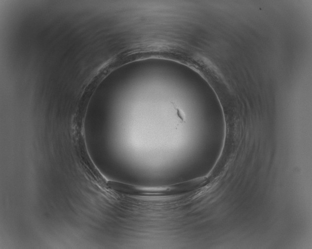 X0000073481210200608071012