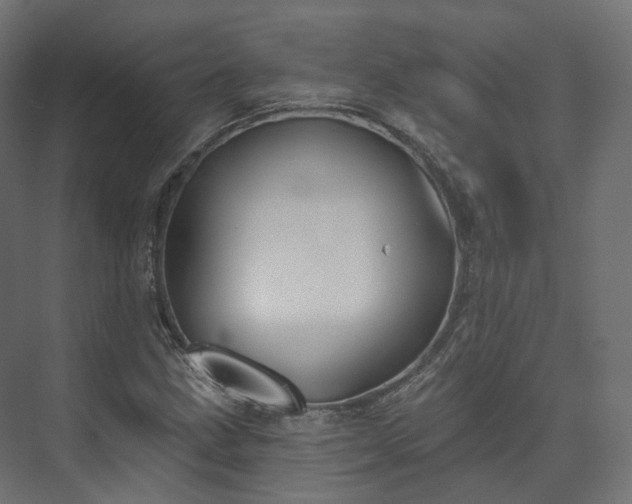 X0000073481211200608071012