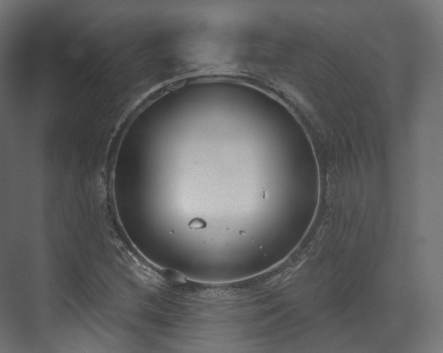 X0000073481212200608071012