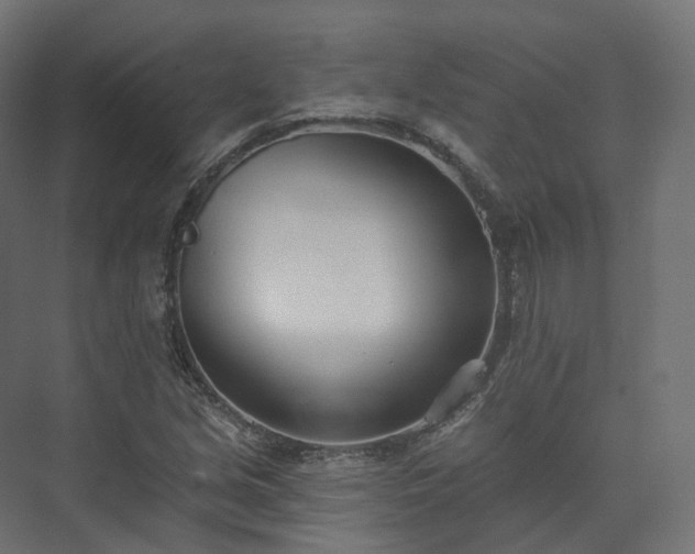 X0000073481213200608071012