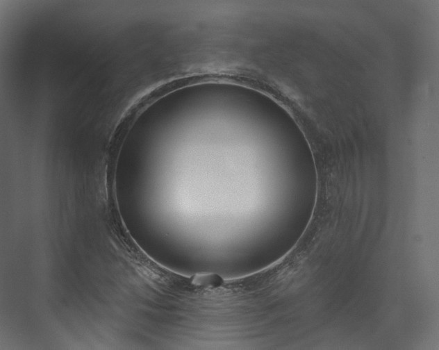 X0000073481214200608071012