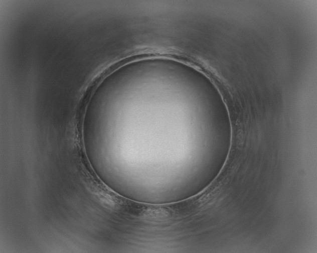 X0000073481215200608071012