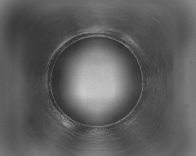 X0000073481216200608071012