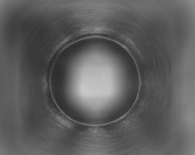 X0000073481218200608071012