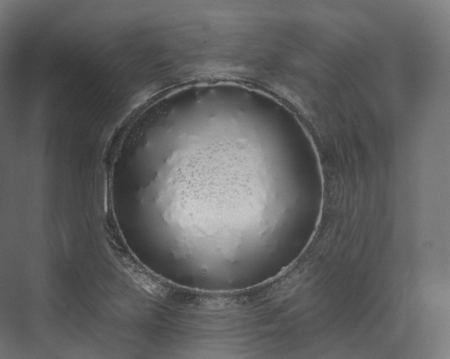 X0000073481219200608071012