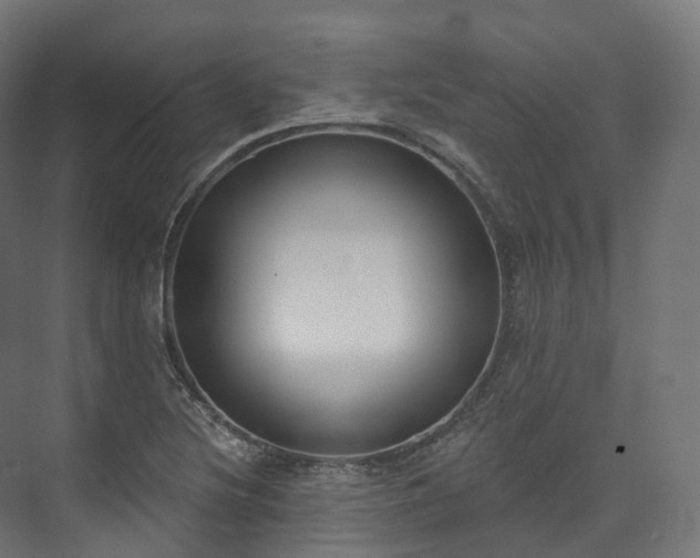 X0000073481220200608071012