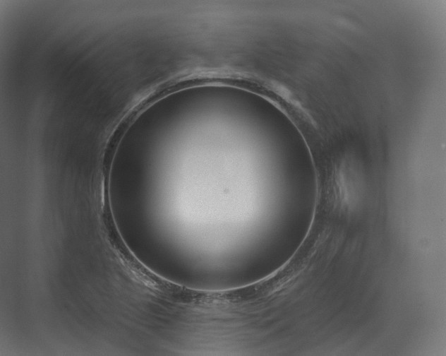 X0000073481221200608071012