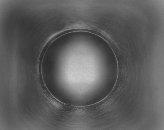 X0000073481222200608071012