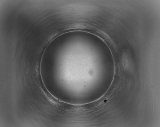 X0000073481225200608071012