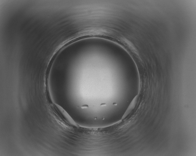 X0000073481226200608071012