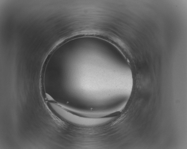 X0000073481229200608071012