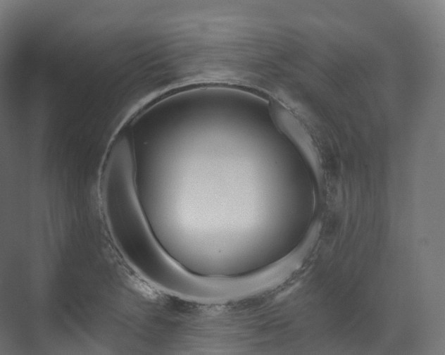 X0000073481230200608071012