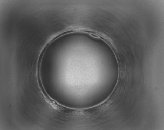 X0000073481231200608071012