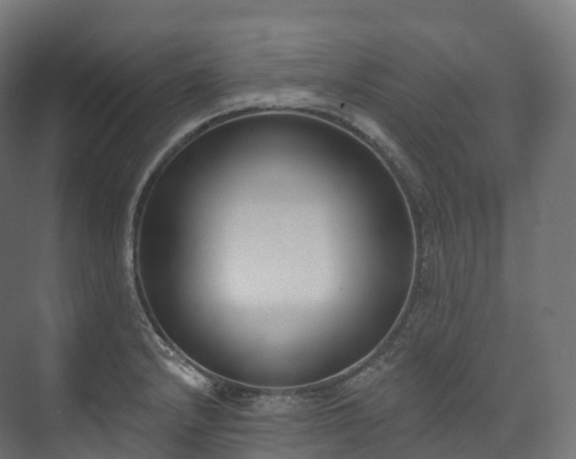 X0000073481232200608071012