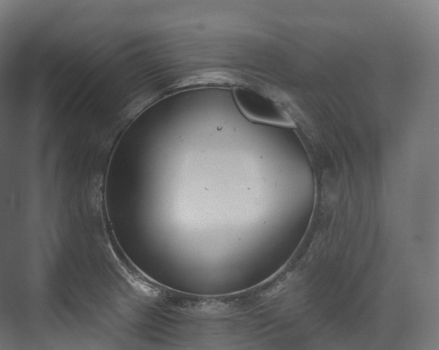 X0000073481233200608071012