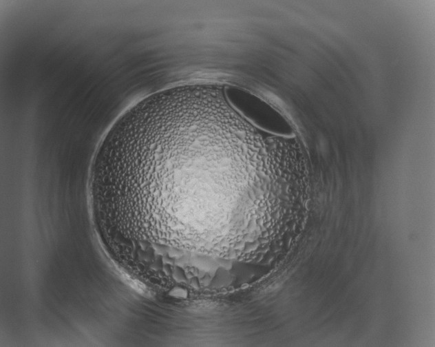 X0000073481235200608071012