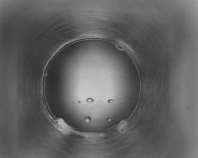 X0000073481236200608071012