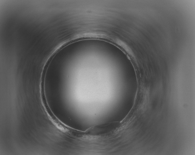 X0000073481237200608071012