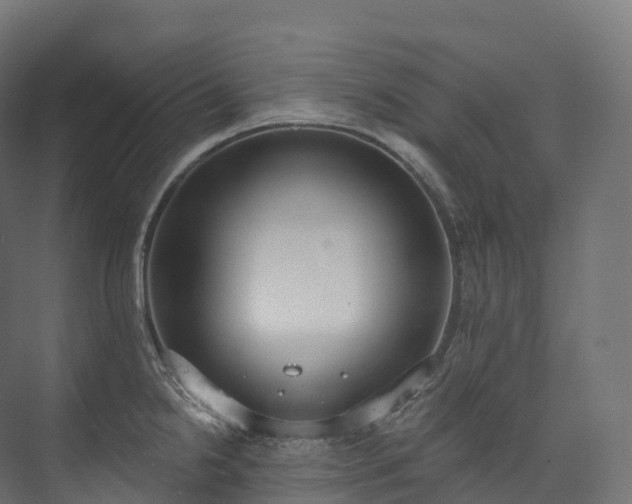 X0000073481238200608071012