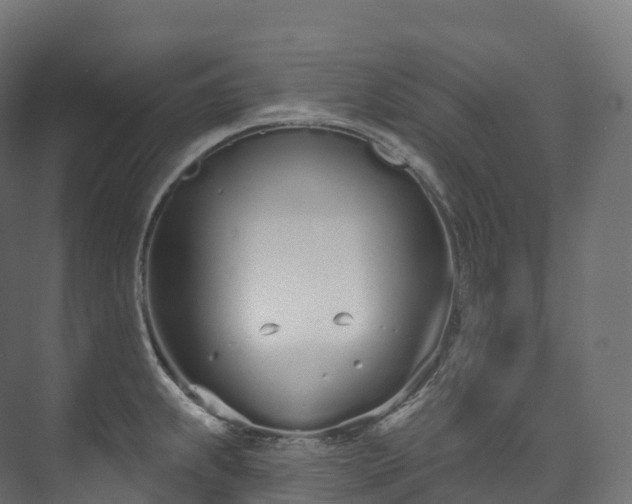 X0000073481239200608071012