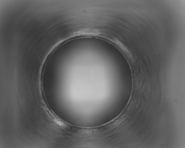 X0000073481240200608071012