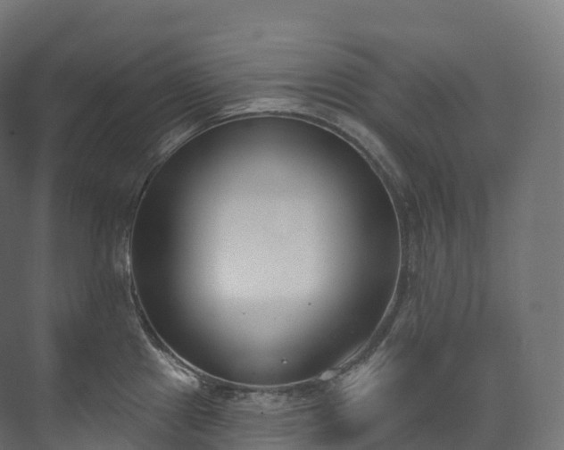 X0000073481241200608071012