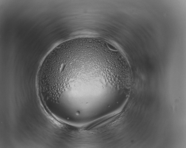 X0000073481243200608071012