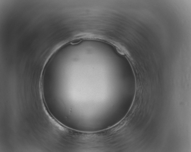 X0000073481247200608071012