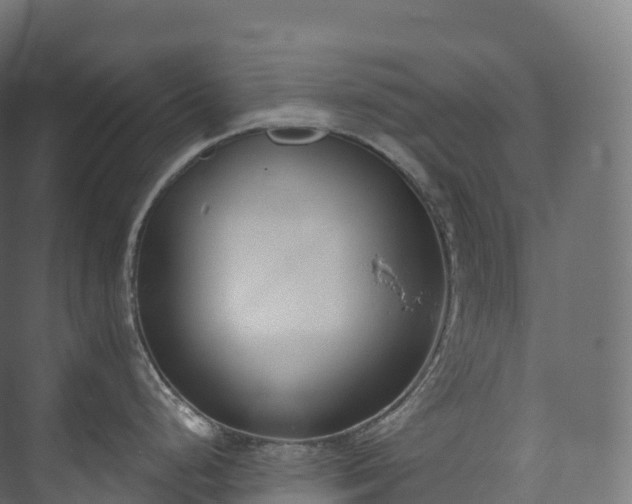 X0000073481248200608071012