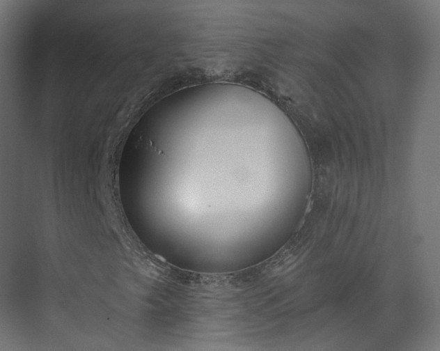 X0000073481249200608071012