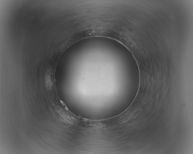 X0000073481250200608071012