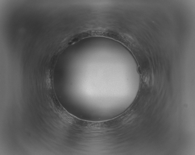 X0000073481252200608071012