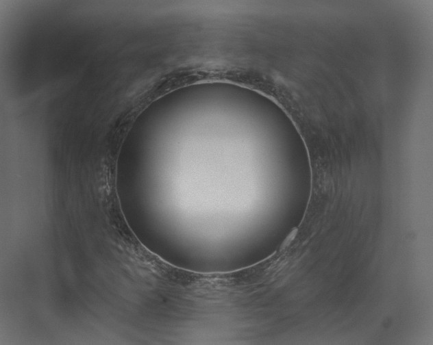 X0000073481253200608071012